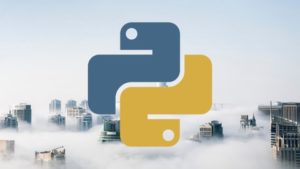 Python The Beginner Python Programming Course