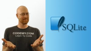 Learn Sqlite Database With Python The Fast and Easy Way!