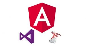 Practical based approach to learn Angular 8 by creating a simple full stack app using Angular 8 and Web API