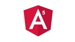 In this course you will learn angular 5 basics