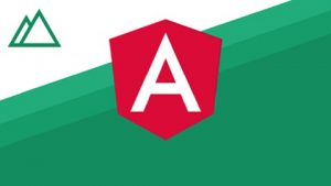 A hands on guide to learn angular programming from scratch.