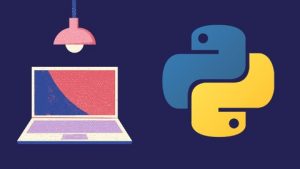 Learn python from extreme basics also learn Data Science tools Numpy & Pandas