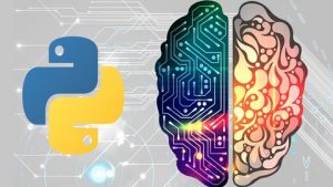 Learn Python like a Professional! Complete hands-on Machine learning with Pandas, Numpy and more
