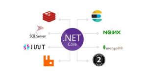 asp.net core 5 production grade API with next generation technology (Oauth2, elastic search, redis, mongodb, rabitmq )