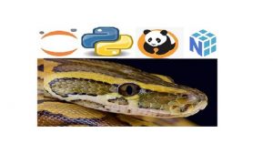Learn to use NumPy, Pandas, Seaborn , Matplotlib for Data Manipulation and Exploration with Python