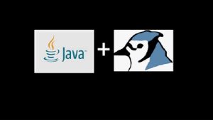 After this course, you will be able to write java programs and you will be able to design J2SE independent projects also