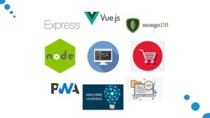 Build (PWA & Machine Learning) Shopping Cart APP Using Vue Vuex Node Express MongoDB Brain.js (unit & integration) test