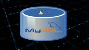 MySQL DB Training for Data Analysis to get your Dream IT Job